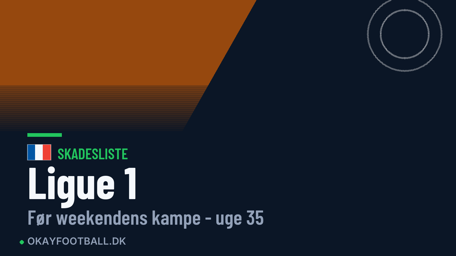 Ligue 1: skadesliste uge 35